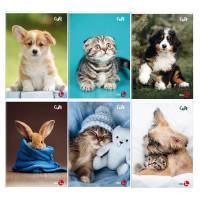 Maxiquaderno Cute fantasia - A4 - 40+2 fogli - 80 gr - 1 rigo - conf. 10 pezzi - BM - 0110389 - DMwebShop