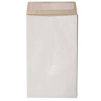 Sacchetto Secursac antistrappo - B5 - 19 x 26 x 4 cm - 130 gr - bianco - conf. 100 pezzi - Blasetti - 0964 - 8007758029644 - DMwebShop