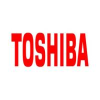 Toner - magenta - 33600 pagine - Toshiba - 6AJ00000261 - 4519232193511 - DMwebShop