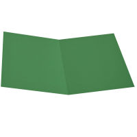 Cartellina semplice - 200 gr - cartoncino bristol - verde - conf. 50 pezzi - Starline - OD0113BLXXXAJ03 - 8025133123466 - DMwebShop