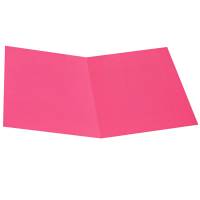 Cartellina semplice - 200 gr - cartoncino bristol - ciclamino - conf. 50 pezzi - Starline - OD0113BLXXXAJ08 - 8025133123527 - DMwebShop