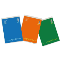 Blocco Colours - 5 mm - A4 - 60 gr - 60 fogli - conf. 10 pezzi - Pigna - 02296035M - 8005235160712 - DMwebShop