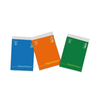 Blocco Colours - 5 mm - A6 - 60 gr - 60 fogli - conf. 20 pezzi - Pigna - 02296055M - 8005235160750 - DMwebShop