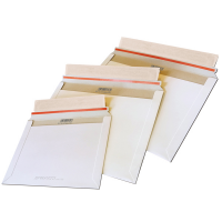 Sacchetti e-commerce packST - in cartone teso - bianco - 17 x 24,5 x 6 cm - conf. 20 pezzi - Blasetti - 0731 - 8007758027312 - DMwebShop
