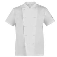 Giacca da cuoco Tommaso - a manica corta - taglia XL - bianco - Giblor's - Q8G00185-C01-XL - 8056149337813 - DMwebShop