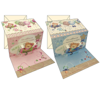 Biglietto auguri Nascita - 2 soggetti assortiti maschio-femmina - conf. 12 pezzi - Kartos - 17848101 - 8009162376109 - DMwebShop