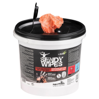 Salviette umidificate Sandy Wipes - 26 x 27 cm - conf. 100 pezzi - Nettuno - 00813 - 8009184011064 - DMwebShop