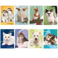 Maxiquaderno Cucciolissimi 2023 A4,4 mm con margine 21 fogli 80 gr - 28875