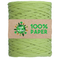 Nastro Rafia - 100 mt - carta - verde 10 - Brizzolari - 02595810 - 8031653543172 - DMwebShop