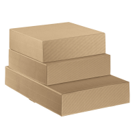 Scatola cantinetta - 2 bottiglie - 34 x 18,5 x 9 cm - cartone onda - avana - conf. 30 pezzi - Scotton - 7651 - 8007402076512 - DMwebShop