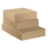 Scatola cantinetta - 2 bottiglie - 34 x 18,5 x 9 cm - cartone onda - avana - conf. 30 pezzi - Scotton - 7651 - 8007402076512 - DMwebShop