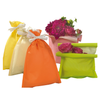 Busta regalo Spring - 20 x 32 cm - 45 gr - carta - 5 colori assortiti - conf. 50 pezzi - PNP - UDI26GRR1Y100 - 8013170760690 - DMwebShop