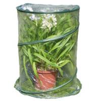 Serra Pop-up Anthurium - 70 x 100 cm - trasparente - Verdemax - 2634 - 8015358026345 - DMwebShop