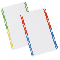 Cartoncini per cartelle sospese - armadio - 40 cartoncini per foglio - 14 cm - conf. 10 fogli - Bertesi - 031-10 - 8058983260135 - DMwebShop