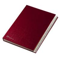 Classificatore numerico 1/31 - 643E - 24 x 34 cm - rosso - Fraschini - 643E-ROSSO - 8027032020013 - DMwebShop