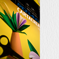 Cartoncino Cartacrea - 35 x 50 cm - 220 gr - bianco - blister 10 fogli - Fabriano - 46435100 - 8001348127543 - DMwebShop