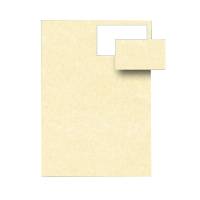 Biglietti da visita - 85 x 54 mm - 165 gr - microperforati - avorio - conf. 12 fogli da 10 biglietti - Decadry - T012028 - 5413493171006 - DMwebShop