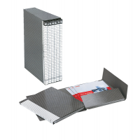 Gruppo Delso Line - 6 cartelle 2 lembi - con custodia - 25 x 32 cm - dorso 1,5 cm - grigio - Esselte - 390954040 - 8004157954041 - DMwebShop