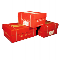 Carta in modulo continuo - 24 x 12" - 60 gr - piste fisse lettura facile grigio - conf. 2000 fogli - Sabacart - S00240126010 - 8024828012061 - DMwebShop