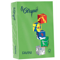 Carta Le Cirque - A4 - 80 gr - verde prato 203 - conf. 500 fogli - Favini - A71M504 - 8025478320230 - DMwebShop