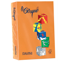 Carta Le Cirque - A4 - 80 gr - arancio 205 - conf. 500 fogli - Favini - A71E504 - 8025478320254 - DMwebShop