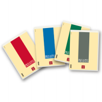 Bloccostyl - A4 - 5 mm - 210 x 297 mm - 80 gr - 70 fogli - conf. 10 pezzi - Pigna - 02137485M - 8005235068957 - DMwebShop