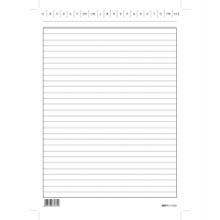 Schede in cartoncino rigate - 24 x 17 cm - verticale - conf. 100 pezzi - Edipro - E3393BL - 8023328339319 - DMwebShop