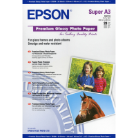 Carta fotografica lucida Premium - Epson - C13S041316 - 010343819795 - DMwebShop
