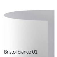 Cartoncino Bristol Color - 50 x 70 cm - 200 gr - bianco 01 - conf. 25 pezzi - Favini - A350022 - 8007057560312 - DMwebShop