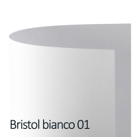 Cartoncino Bristol Color - 50 x 70 cm - 200 gr - bianco 01 - conf. 25 pezzi - Favini - A350022 - 8007057560312 - DMwebShop
