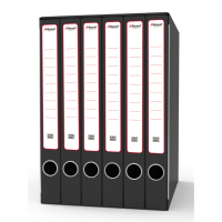 Gruppo registratori Sestetto - con 6 cartelle 3 lembi - 25,5x34,5 cm - dorso 23 cm - grigio - Rexel - King Mec - GKM6300 - 5028252505758 - DMwebShop