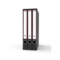 Gruppo registratori Terzetto - con 3 cartelle ad anelli - 25,5 x 34,5 cm - dorso 15 cm - grigio - Rexel - King Mec - GKM3200 - 5028252505727 - DMwebShop