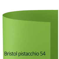 Cartoncino Bristol Color - 50 x 70 cm - 200 gr - pistacchio 54 - conf. 25 pezzi - Favini - A35M012 - 8007057572599 - DMwebShop