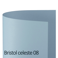 Cartoncino Bristol Color - 50 x 70 cm - 200 gr - celeste 08 - conf. 25 pezzi - Favini - A35T012 - 8007057571554 - DMwebShop