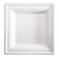 Piatto piano monouso - quadrato - 20 x 20 cm - canna da zucchero - bianco - conf. 50 pezzi - Signor Bio - BPS002BIO50B - 8055715780503 - DMwebShop