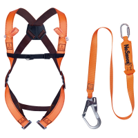 Kit anticaduta di primo livello ELARA190V - per ponteggiatori - taglia S-M-L - Deltaplus - ELARA190V2GT - 3295249280628 - DMwebShop