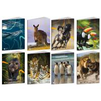 Maxiquaderno Animal World 2024 - A4 - rigo di 1a - 21 fogli - 80gr - conf. 10 pezzi - Blasetti - 8575 - 8007758285750 - DMwebShop