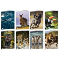 Maxiquaderno Animal World 2024 - A4 - rigo di 3a - 21 fogli - 80 gr - conf. 10 pezzi - Blasetti - 8576 - 8007758285767 - DMwebShop