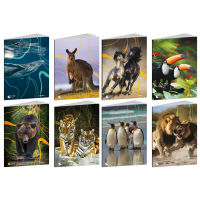 Maxiquaderno Animal World 2024 - A4 - 10 mm - 21 fogli - 80 gr - conf. 10 pezzi - Blasetti - 8580 - 8007758285804 - DMwebShop
