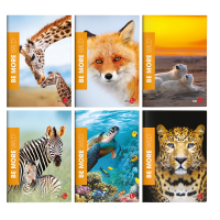 Maxiquaderno Be More Wild - A4 - 36+2 fogli - 100 gr - rigo di 3a - conf. 10 pezzi - BM - 0120561 - 8008234205613 - DMwebShop