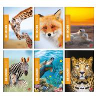 Maxiquaderno Be More Wild - A4 - 36+2 fogli - 100 gr - 10 mm - conf. 10 pezzi - BM - 0120567 - 8008234205675 - DMwebShop