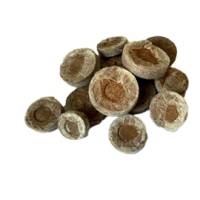 Pastiglia in torba - diametro 3,6 cm - Cwr - conf. 36 pezzi - 12930 - 8718734420132 - DMwebShop