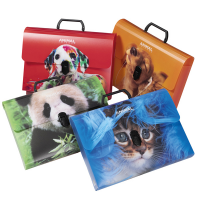 Valigetta Animal Friends Color - 28 x 38 cm - dorso 5 cm - PP - fantasie assortite - Colorosa - 64EP16 - 8011791002212 - DMwebShop