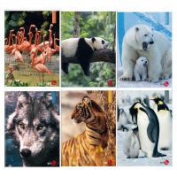 Maxiquaderno Animal fantasia - A4 - 40+2 fogli - 80 gr - 1 rigo - conf. 10 pezzi - BM - 0110380 - 8008234103803 - DMwebShop