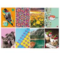 Maxiquaderno assortimento Ragazza - A4 - 4 mm - 42 fogli - 80 gr - conf. 10 pezzi - Pigna - 02333794M - 8005235213289 - DMwebShop