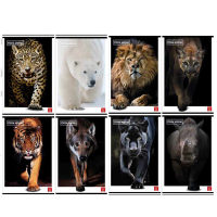 Maxiquaderno Animal - A4 - rigo di 1a - 42 fogli - 80 gr - conf. 10 pezzi - Pigna - 02333710A - 8005235062498 - DMwebShop