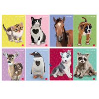 Maxiquaderno Dolci Cuccioli - A4 - 1 rigo - 42 fogli - 80 gr - conf. 10 pezzi - Pigna - 02333751R - 8005235100411 - DMwebShop