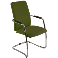 Poltroncina visitatore Lithium LTLTA - con braccioli inclusi - verde bruciato - Unisit - LTLTA/LVM - DMwebShop