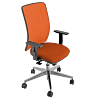 Seduta operativa Pentagon Y10 PNALG - con braccioli regolabili - ruggine - Unisit - PNALG-BRF-LRU-A - PNALG/BRF/LRU/A - DMwebShop