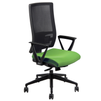 Seduta operativa Nereide NDAY - con braccioli fissi - verde - Unisit - NDAY-BRP-SV - NDAY/BRP/SV - DMwebShop